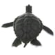 thumbnail image 5 of Simulación Animal Salvaje Modelo Figura Juguetes Estatuilla Decoración Para El Hogar Turtlet D, 5 of 5