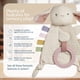 thumbnail image 3 of Juguete sensorial Itzy Ritzy Bitzy Crinkle Bunny con anillo de dentición, 3 of 7