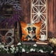 thumbnail image 5 of Almohada Decorativa Australian Shepherd, 5 of 6
