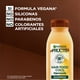 thumbnail image 4 of Shampoo Garnier Fructis Hair Food Coco, 300 ml, 4 of 5