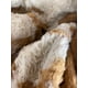 thumbnail image 2 of Chaqueta Liz Claiborne XL Segunda Mano Mujer, 2 of 3