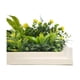 thumbnail image 4 of Jardin Vertical Vertiente, 4 of 4
