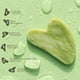 thumbnail image 5 of Set de herramientas faciales BAIMEI iCyme Gua Sha & Jade Roller Green, 5 of 8