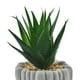 thumbnail image 3 of Planta Decorativa Artificial Aloe Piedra, 3 of 4