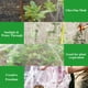 thumbnail image 2 of Mallas de jardín Jorking, 2 unidades, 2,4 x 7,3 m, malla ultrafina, 2 of 7