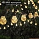 thumbnail image 4 of Guirnaldas de luces con batería Janchs, 14 ft, 100 LED, 20 focos, 4 of 9