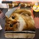 thumbnail image 1 of Lovely Pet Cat Bedding Set Animal Kitty Duvet Cover Bed Set Quilt Cover Boys Adult, 1 of 5
