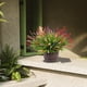 thumbnail image 4 of Plantas artificiales artificiales, flores, hierba de mono para decoración de exteriores, 4 of 6