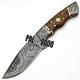 thumbnail image 5 of Cuchillo PAL 2000 HUNTING KNIVES 20 cm con mango de madera de rosa, 5 of 8