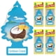 thumbnail image 2 of Ambientador para coche LITTLE TREES Caribbean Colada x24, 2 of 8