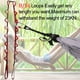 thumbnail image 3 of Cadenas para escalar margaritas KIKIGOAL, correa ajustable de nailon, 180 cm, 3 of 7