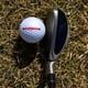 thumbnail image 2 of Bolas de Golf Trust Bison X Power 2024 (48 unidades), 2 of 9
