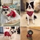 thumbnail image 5 of Ropa Para Perros Suéter Rojo Para Perros Ropa Para Mascotas Para Navidad Y Año Nuevo, 5 of 5