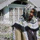 thumbnail image 2 of Videojuego Zach Top – All My Heroes Are Cornballs, 2 of 2