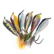thumbnail image 3 of Epoxy Minnow Streamer Fly Saltwater Bass Trucha Perca Chub Jig Lure 6pcs Mix, 3 of 5