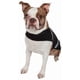 thumbnail image 2 of Chaqueta impermeable de neopreno para perro, para todas las estaciones, 2 of 6