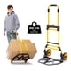 thumbnail image 1 of Carretilla de Carga Yegua Plegable Extensible Soporte 80 kg, 1 of 5
