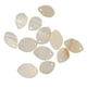 thumbnail image 1 of 12 piezas de concha oval natural encanto de cuentas joyas hallazgos accesorios, 1 of 4