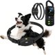 thumbnail image 1 of Collar para perro Beatails inalámbrico 195 m impermeable para 2 perros, 1 of 7