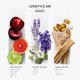 thumbnail image 2 of Aceite difusor de aire AromaPlan Lifestyle de aceite esencial, 473 ml, 2 of 5