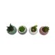 thumbnail image 1 of Macetero Planta 9 cm, 1 of 3