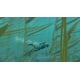 thumbnail image 4 of Videojuego Nintendo Switch Endless Ocean Luminous, 4 of 7
