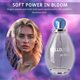 thumbnail image 5 of Perfume Sandora Fragrances Hall'Wyn Eau de Parfum, 100 ml, 5 of 5