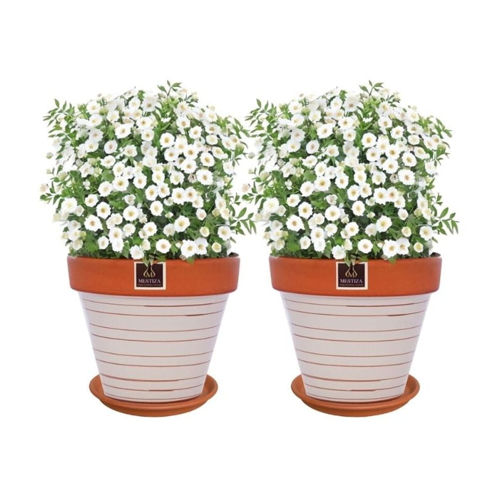 Mestiza - Set De 2 Maceta Kony 19cm Terra Beige Y Sus Platos