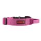 thumbnail image 1 of Collar para perro KONG, ultraduradero, acolchado y cómodo, con asa, rosa M, 1 of 5