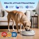 thumbnail image 5 of Bebedero de Agua para Perro Torus Pet 2 L Beige + Filtros, 5 of 9