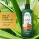 thumbnail image 2 of Shampoo Herbal Essences Bio:Renew 6X Aloe & Mango Protege & Repara, 400 ml, 2 of 5