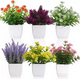 thumbnail image 1 of Plantas artificiales 6 pzs macetas bonsai, 1 of 3