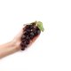 thumbnail image 3 of Planta artificial caiyjhao Uvas moradas 24 unidades – Pack de 2, 3 of 6