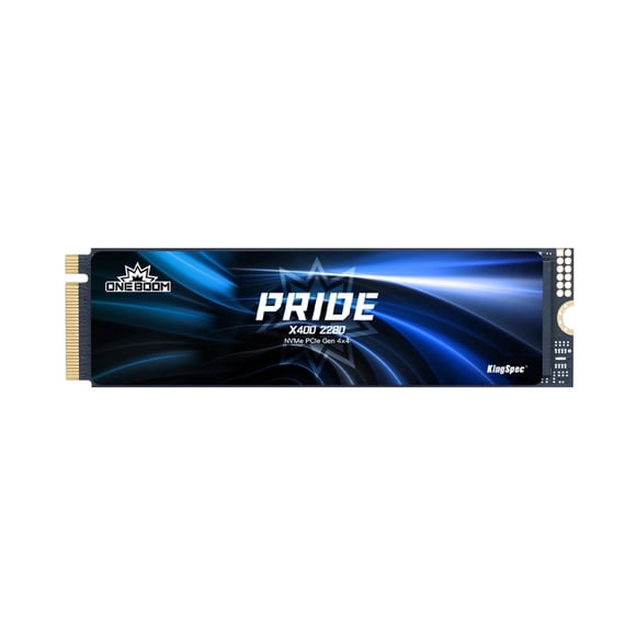 Kingspec X400 1TB