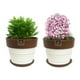 thumbnail image 3 of Set de 2 Maceta Greta 16cm Blanca y sus platos, 3 of 3