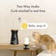 thumbnail image 4 of Cámara Cat 360° Home Security Con Dispensador De Golosinas, 4 of 8