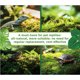 thumbnail image 3 of Musgo Vivo LUCKYRUNES para Terrarios Reptiles 50 inaa, 3 of 3