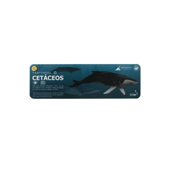 Pantonera de cetáceos