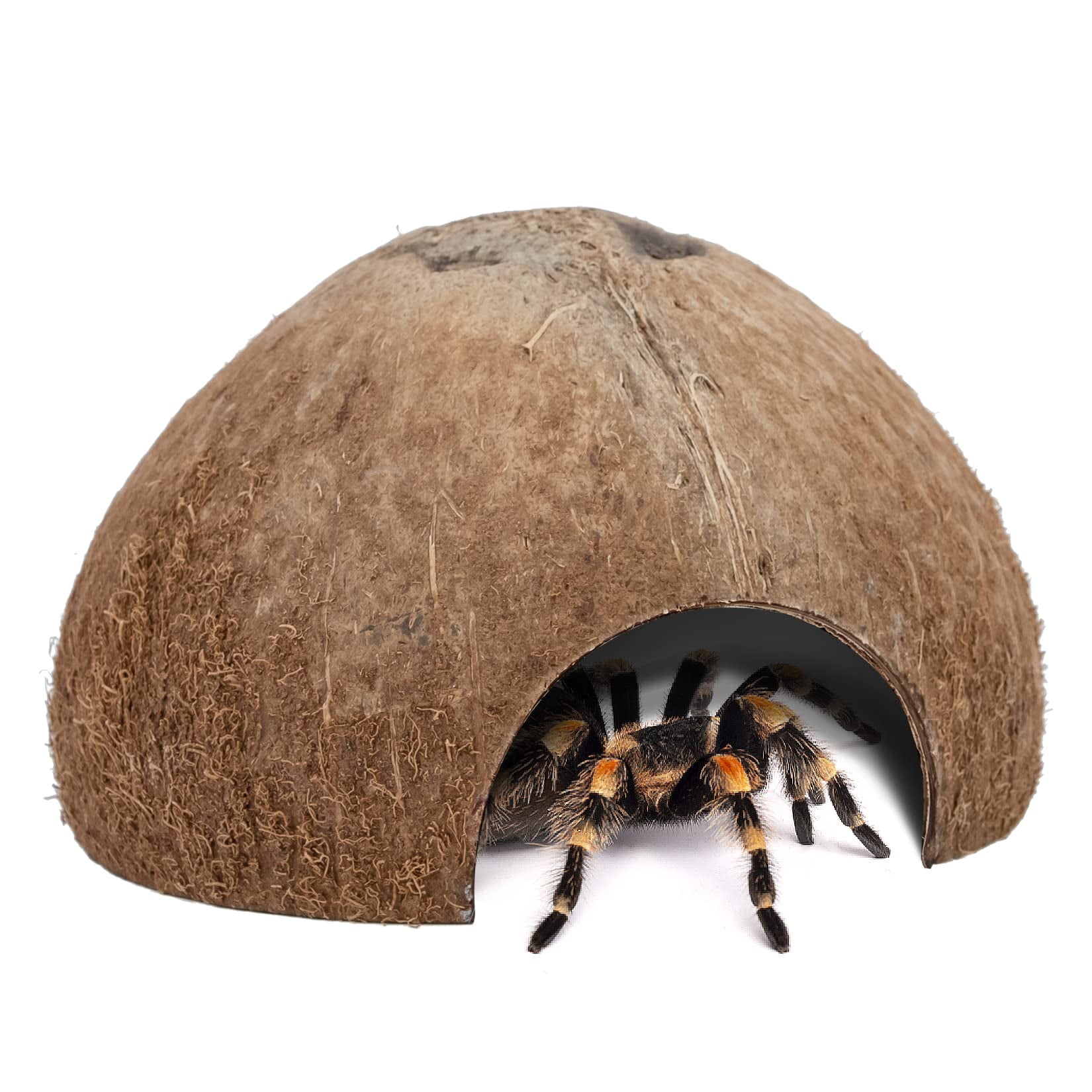 Refugio para reptiles Niteangel 13 cm Pack de 2 Natural