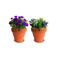 Mestiza - Set De 2 Maceta Kony 19Cm Terra Mandarina Y Sus Platos