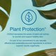 thumbnail image 3 of Spray protector solar orgánico COOLA SPF 70 177 mL, paquete de 2, 3 of 7
