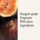 thumbnail image 4 of Home Scent Refill Pura & Brooklyn Candle Studio Smart Difusor, 4 of 7