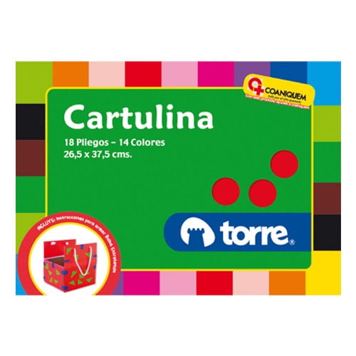 Cartulina De Colores 18 Pliegos 14 Colores 1 Un Torre