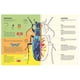thumbnail image 4 of Insectopedia blanco, 4 of 5