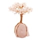 thumbnail image 1 of Money Tree Bonsai Holiday Festival Riqueza Decoración Regalo De Inauguración De La Casa Rosa, 1 of 5