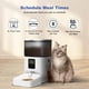 thumbnail image 2 of Comedero automático para gatos ANDOLLHOME con grabadora de voz 10s 4L, 2 of 9