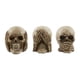 thumbnail image 1 of Set de figuras de resina Zingz & Thingz Skeleton & Skulls, 3 piezas, 1 of 8