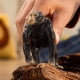 thumbnail image 2 of Figura animal Schleich Wild Life Chimpanzee, juego de 3, 2 of 2