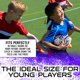 thumbnail image 5 of Fútbol Franklin Sports NFL Baltimore Ravens Juvenil 8.5, 5 of 7