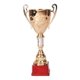 thumbnail image 1 of Copa Trofeo Metálica 835 Para Competencias, 1 of 1